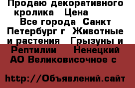 Продаю декоративного кролика › Цена ­ 500 - Все города, Санкт-Петербург г. Животные и растения » Грызуны и Рептилии   . Ненецкий АО,Великовисочное с.